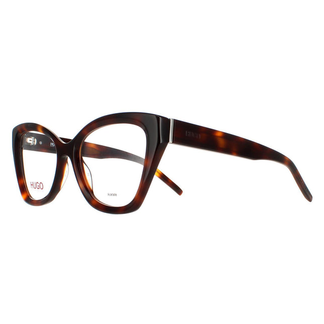 Hugo by Hugo Boss HG 1160 05L Glasses