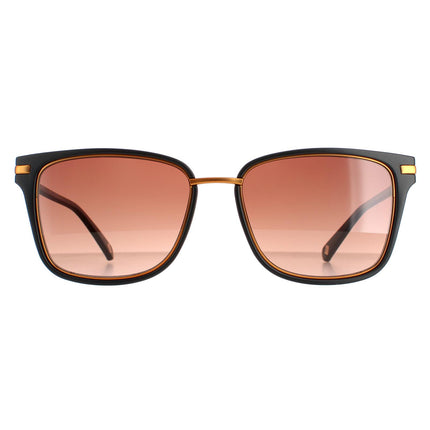 Ted Baker TB1620 Mata 001 Sunglasses