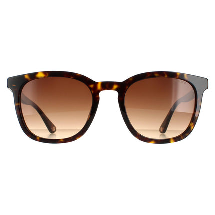 Police SPLB42 Origins 36 0722 Sunglasses