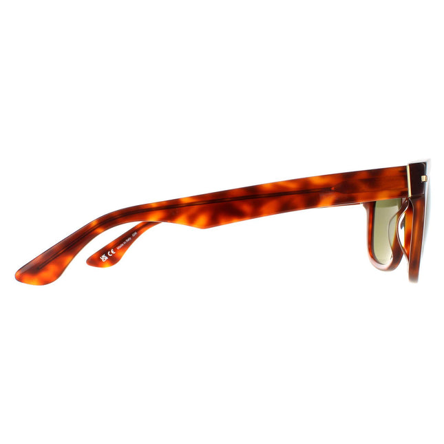 Serengeti Foyt Large SS550001 Sunglasses