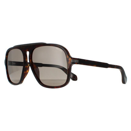 Police SPLE20 Lewis 38 0722 Sunglasses
