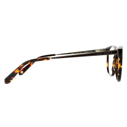 Ted Baker Beale TB8191 145 Glasses