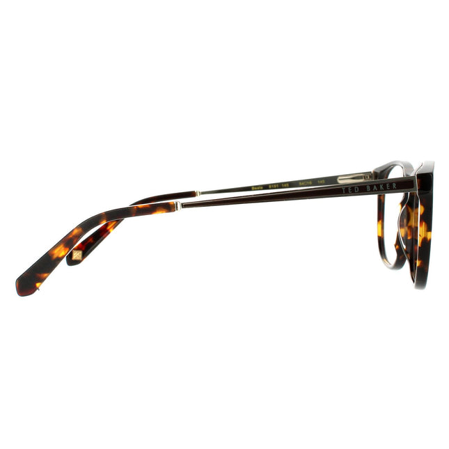 Ted Baker Beale TB8191 145 Glasses