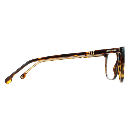 Carrera 1125 086 Glasses