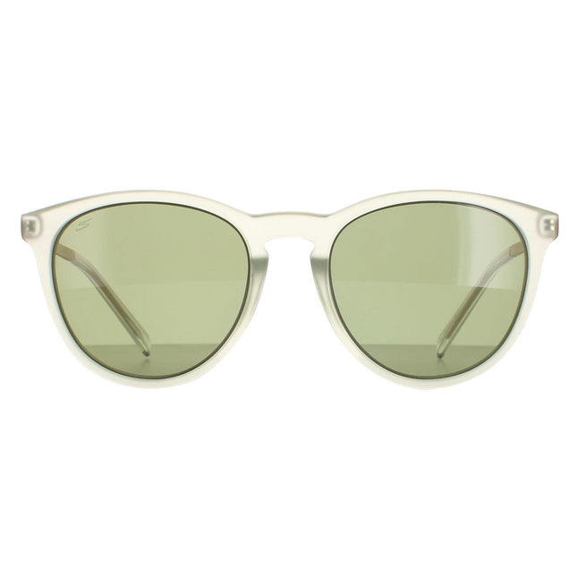 Serengeti Brawley SS556004 Sunglasses