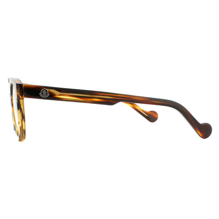 Moncler ML5040 055 Glasses