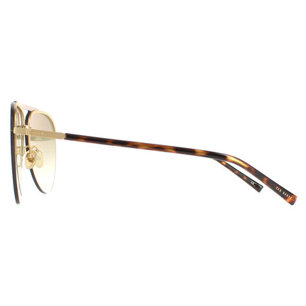 Ted Baker TB1628 Mose 122 Sunglasses