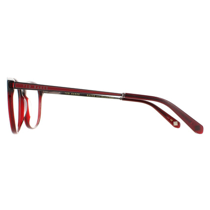 Ted Baker TB8191 Beale 229 Glasses