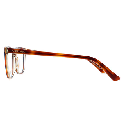 Calvin Klein CK20509 241 Glasses