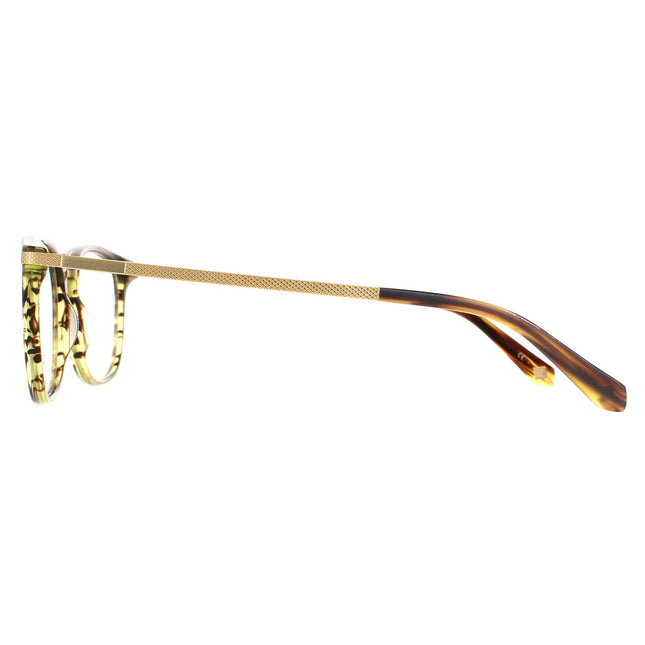 Ted Baker TB8180 Hyde 105 Glasses