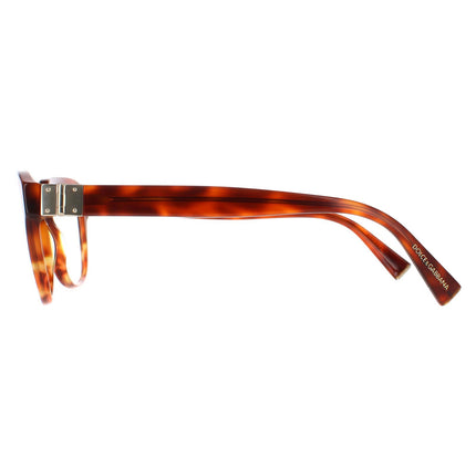 Dolce & Gabbana DG 3277 3144 Glasses