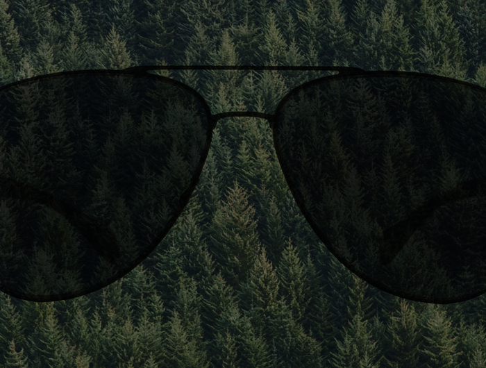 Your Purchase, Our Promise: