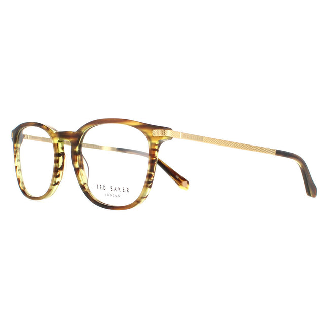 Ted Baker TB8180 Hyde 105 Glasses