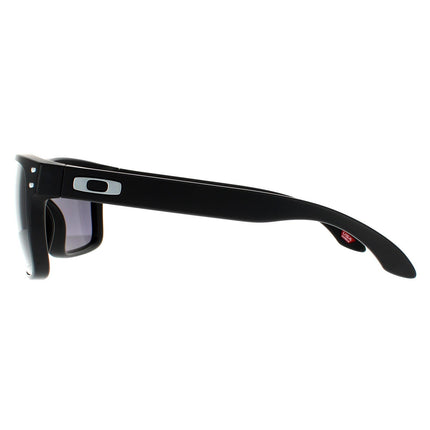 Oakley Holbrook OO9102 E8 Sunglasses
