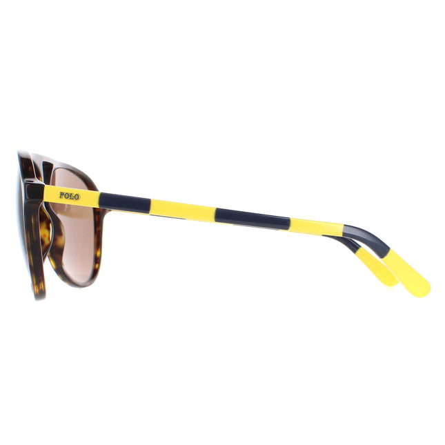 Polo Ralph Lauren PH4173 500373 Sunglasses