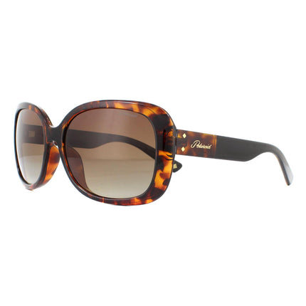 Polaroid PLD 4069/G/S/X 086 LA Sunglasses