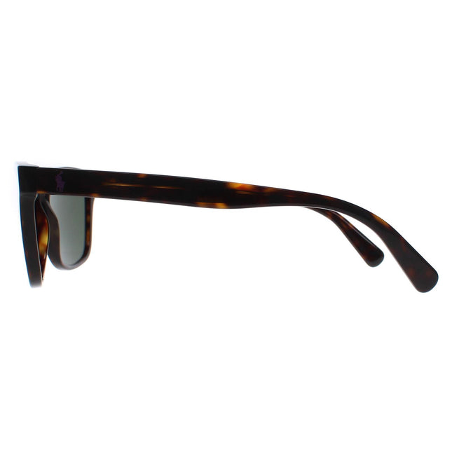 Polo Ralph Lauren PH4167 500371 Sunglasses
