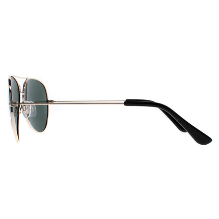 Polaroid 4213 00U H8 Sunglasses