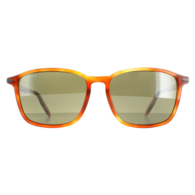 Serengeti Lenwood 8932 Sunglasses