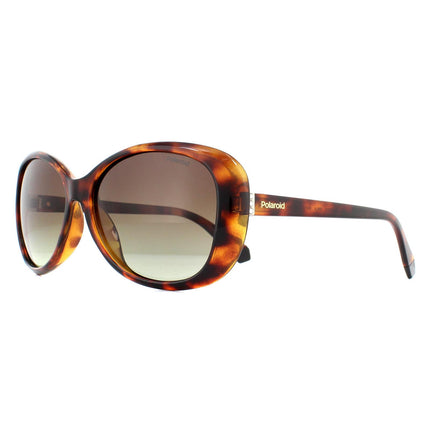 Polaroid PLD 4097/S 086 LA Sunglasses