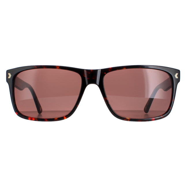 Duck and Cover DCS026 C2 Sunglasses