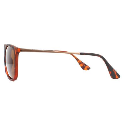 Montana MP34 C Sunglasses