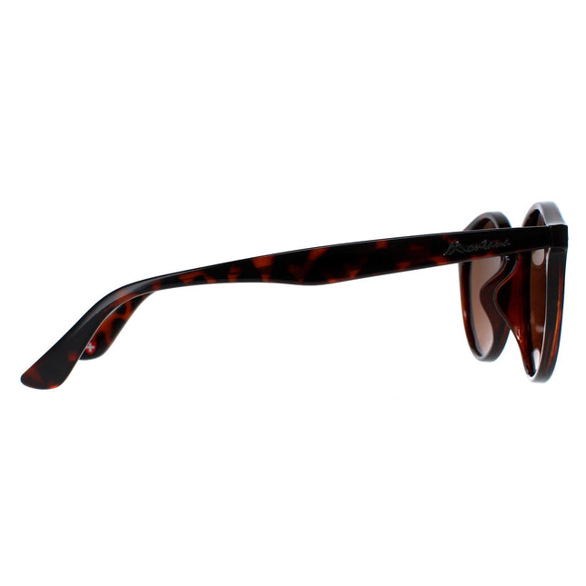 Montana MP20B Sunglasses