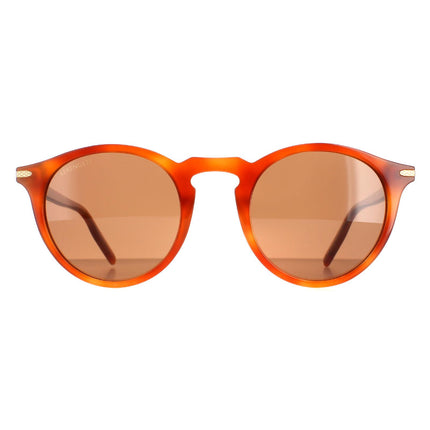 Serengeti Raffaele 8953 Sunglasses