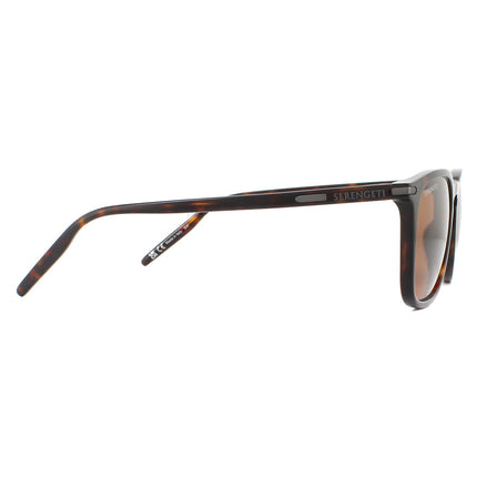 Serengeti Delio 8949 Sunglasses