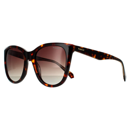 Polaroid PLD 4096/S/X 086 LA Sunglasses