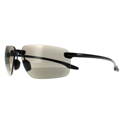 Serengeti Erice 8504 Sunglasses