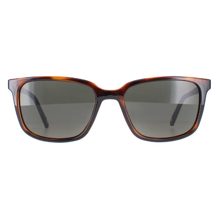 Ted Baker TB1529 Farley 122 Sunglasses