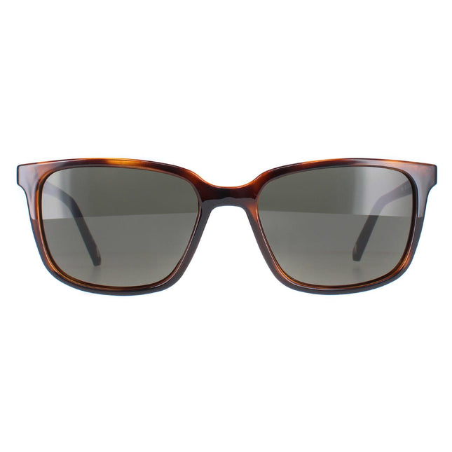 Ted Baker TB1529 Farley 122 Sunglasses