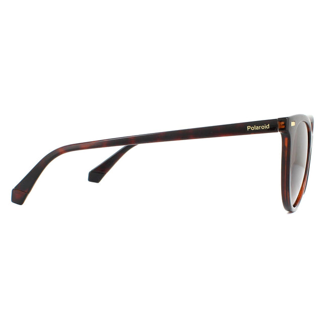 Polaroid PLD 4107/S 086 LA Sunglasses