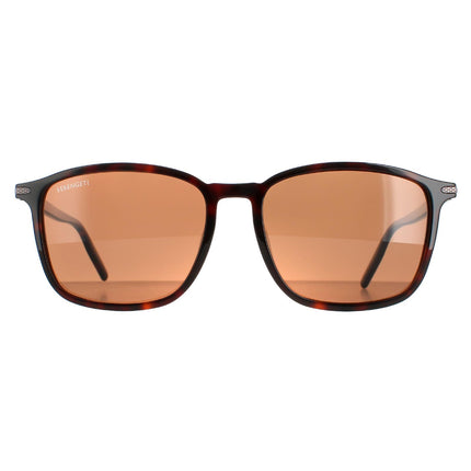 Serengeti Lenwood 8933 Sunglasses