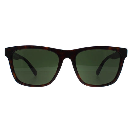 Polo Ralph Lauren PH4167 500371 Sunglasses