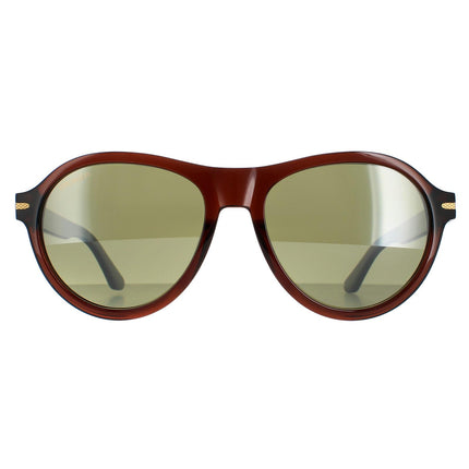 Serengeti Danby SS527004 Sunglasses