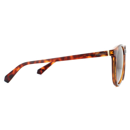 Polaroid PLD 6098/S 086 LA Sunglasses