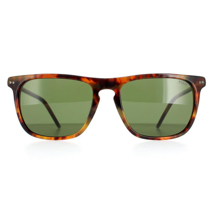 Polo Ralph Lauren PH4168 501771 Sunglasses