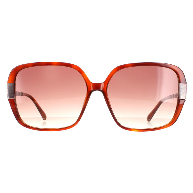 Ted Baker TB1616 Indi 307 Sunglasses