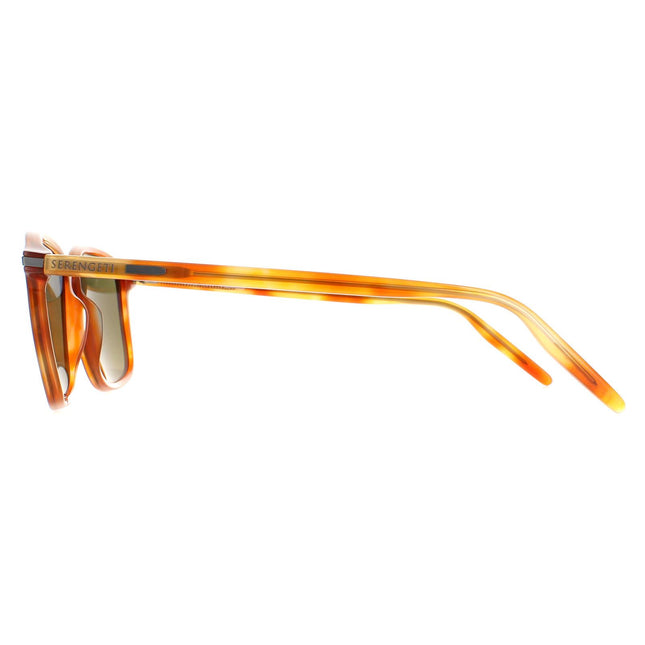 Serengeti Lenwood 8932 Sunglasses