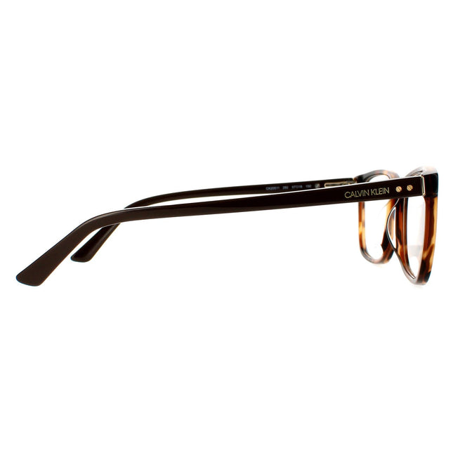 Calvin Klein CK20511 282 Glasses