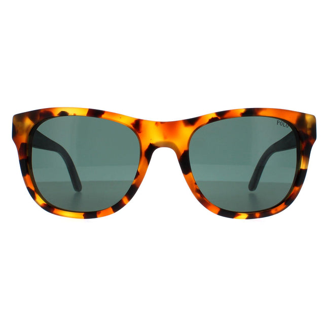 Polo Ralph Lauren 4091 550171 Sunglasses