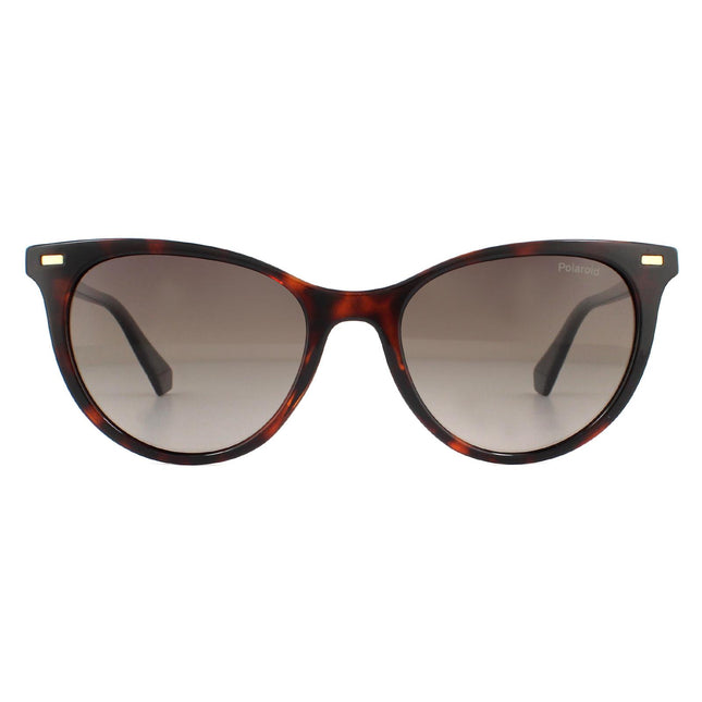 Polaroid PLD 4107/S 086 LA Sunglasses