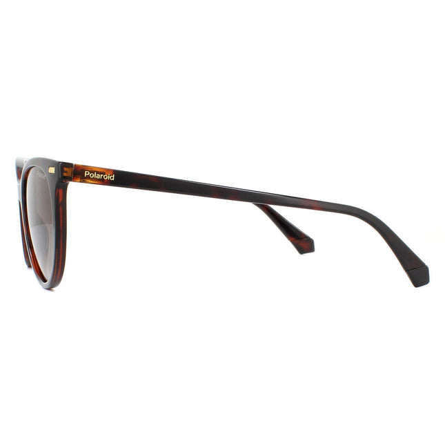 Polaroid PLD 4107/S 086 LA Sunglasses