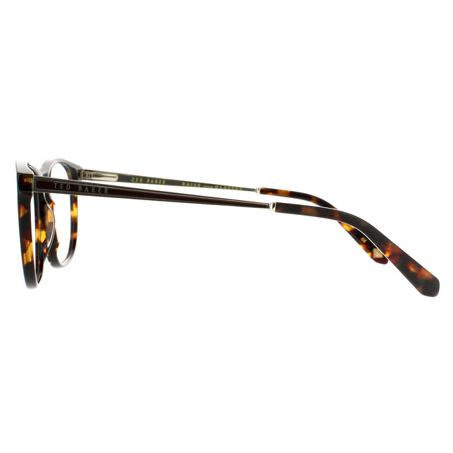 Ted Baker Beale TB8191 145 Glasses