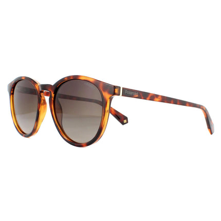 Polaroid PLD 6098/S 086 LA Sunglasses