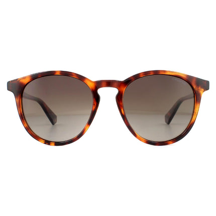 Polaroid PLD 6098/S 086 LA Sunglasses