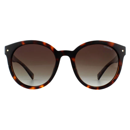 Polaroid PLD 6043/S 086 LA Sunglasses