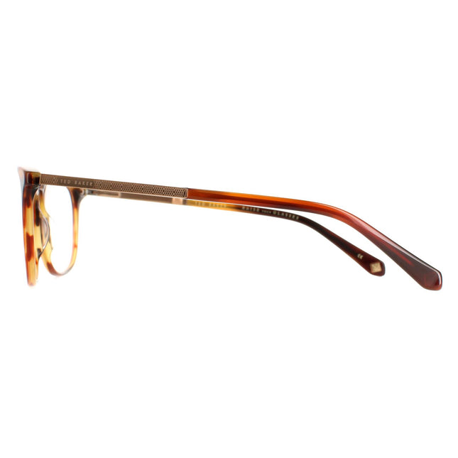 Ted Baker TB8219 Archer 351 Glasses